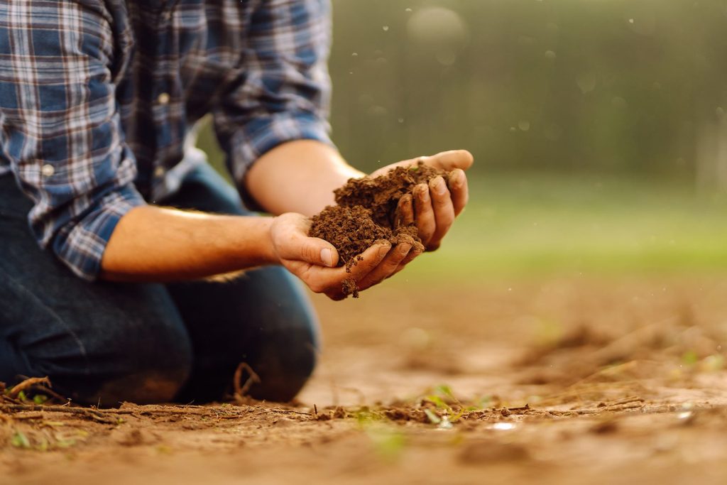 close-up-of-a-farmer-s-strong-hands.jpg