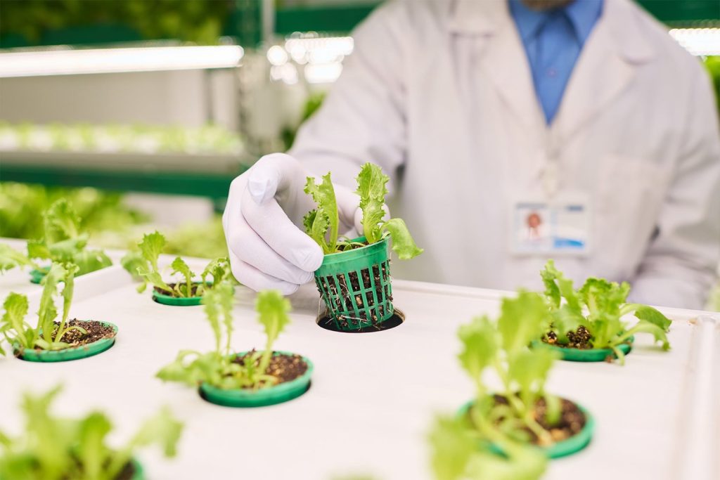focus-on-gloved-hand-of-agronomist.jpg